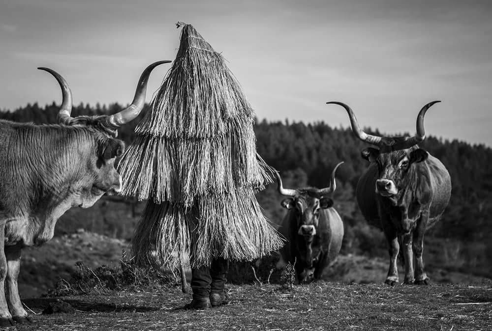 Croça da terra